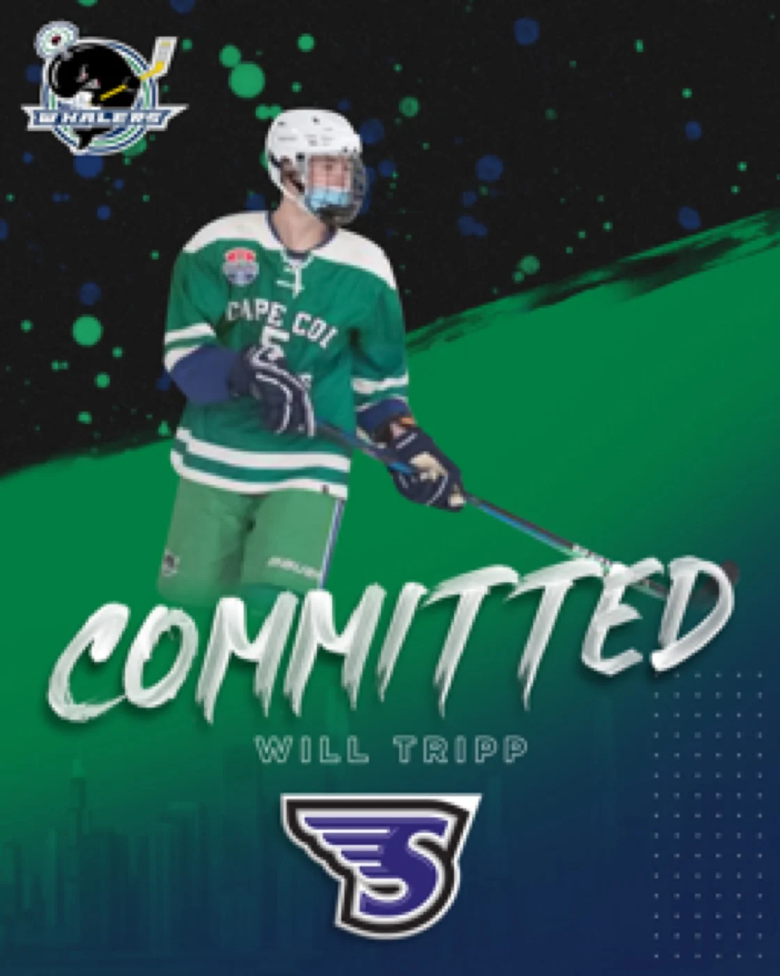 Will Tripp commitment, Cape Cod Whalers